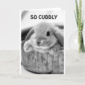 comical bunny says **happy halloween**  holiday card