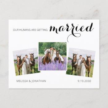 Small Custom 3 Photo Horse Pet Wedding Save The Date Announcement Post Front View