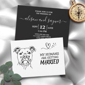 custom dog modern simple black and white wedding invitation