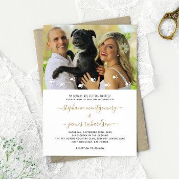 cute my humans getting married pet photo wedding invitation