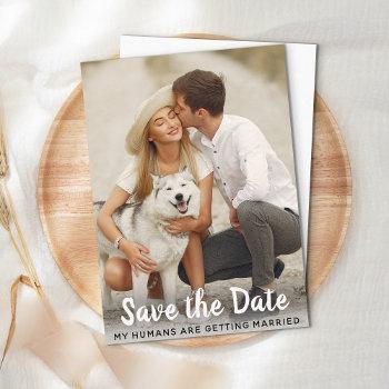 dog wedding save the date budget postcard