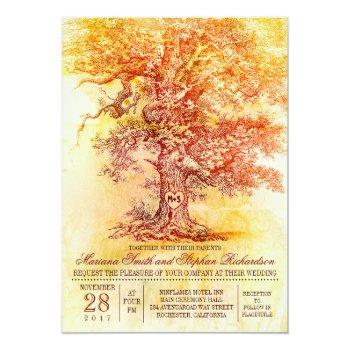 Small Fall Wedding  With Old Oak Tree Front View