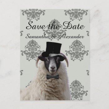 Small Funny Wedding Groom Sheep Save The Date Announcement Post Front View