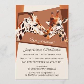 giraffes safari zoo after wedding invitation