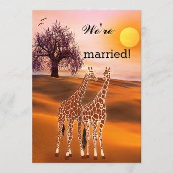 giraffes safari zoo post wedding invitation