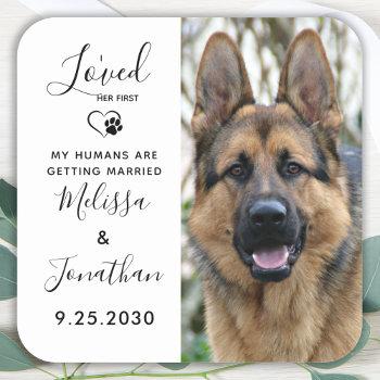 Small I Loved Her First Pet Dog Wedding Save The Date Square Sticker Front View