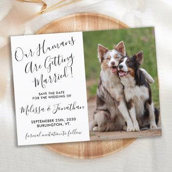 Small Modern Photo Personalize Pet Wedding Save The Date Announcement Post Front View