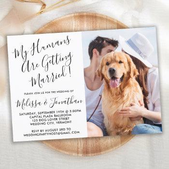 my humans are getting married modern pet photo  invitation