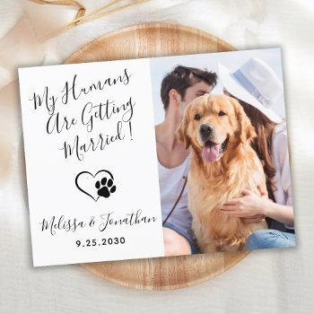 my humans are getting married qr code dog wedding invitation postcard