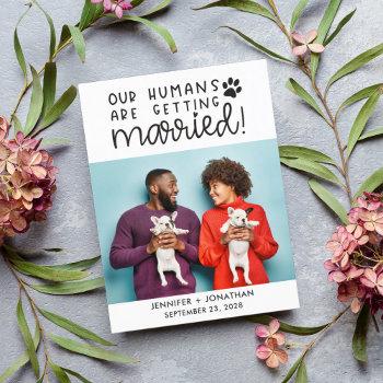 Small Our Humans Getting Married Dog Photo Save The Date Announcement Post Front View