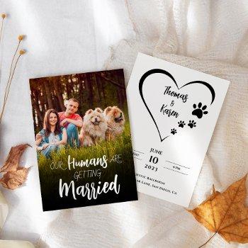 our humans getting married pet dogs wedding invitation