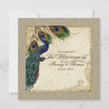 peacock & feathers formal wedding invite taupe tan