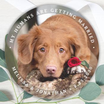 Small Personalized Pet Photo Engagement Dog Wedding Classic Round Sticker Front View