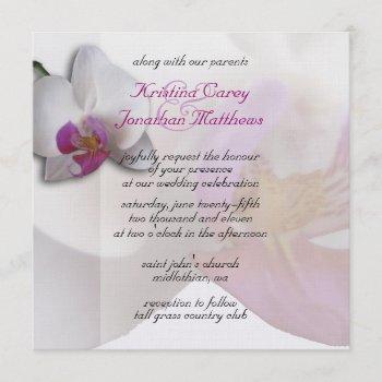 pink orchid wedding invitation 5.25x5.25