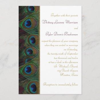 plum, gold peacock feathers wedding invitation
