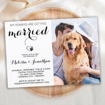 simple modern photo dog lover pet wedding  invitation