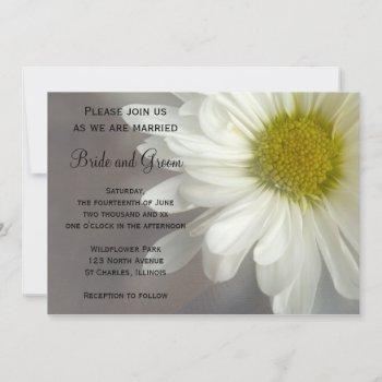soft white daisy on gray wedding invitation