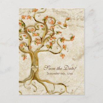 Small Swirl Tree Roots Antiqued Parchment Wedding Save Announcement Post Front View