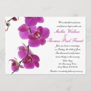 tropical orchid wedding invitations