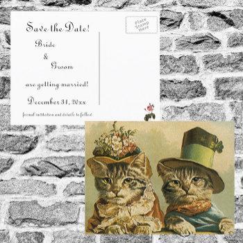 Small Vintage Victorian Funny Cats In Hats Save The Date Announcement Post Front View