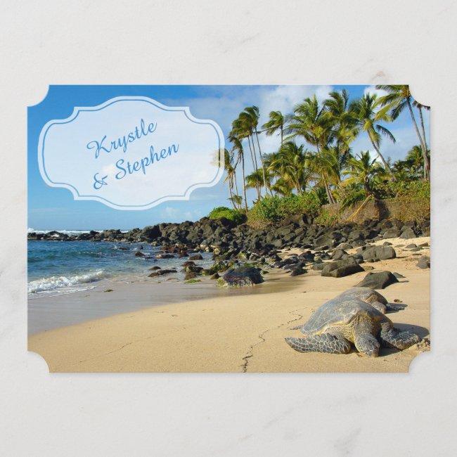 Beach Wedding | Turtles | Ocean | Palm Trees
