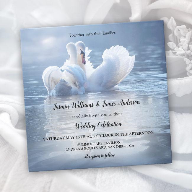 Blue Swans Lake Wedding