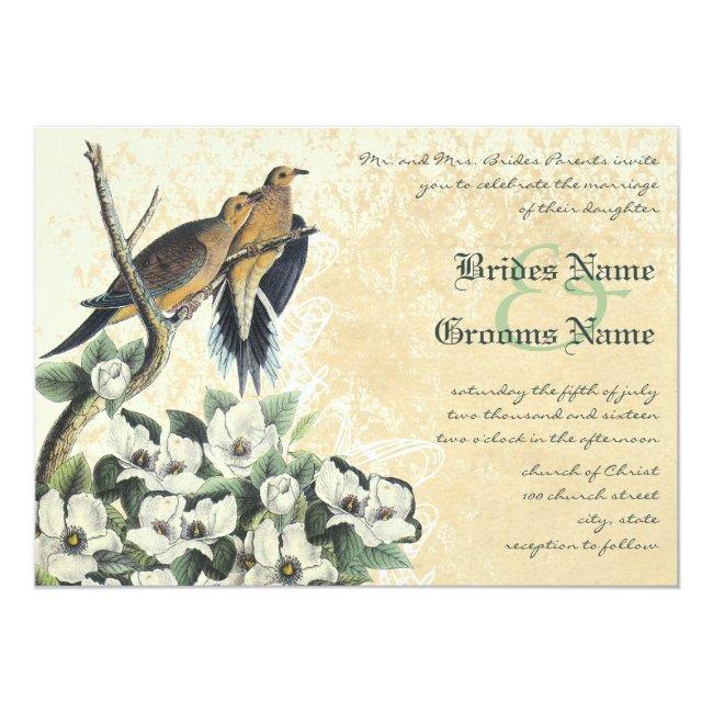 Dove Love Bird Magnolia And Lace Wedding Invites