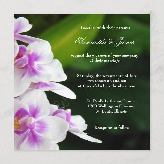 Lovely Orchid Wedding