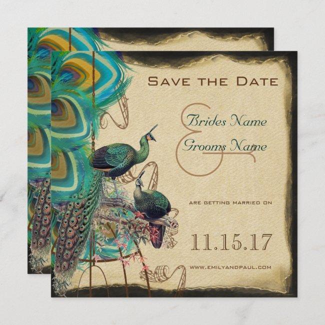 Musical Peacock Bird Cage Love Birds Save The Date