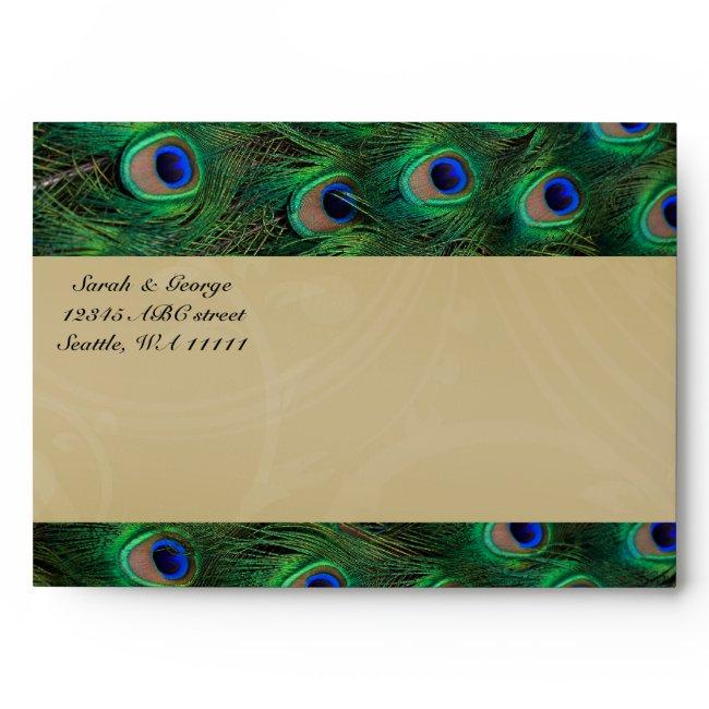 Peacock Envelopes
