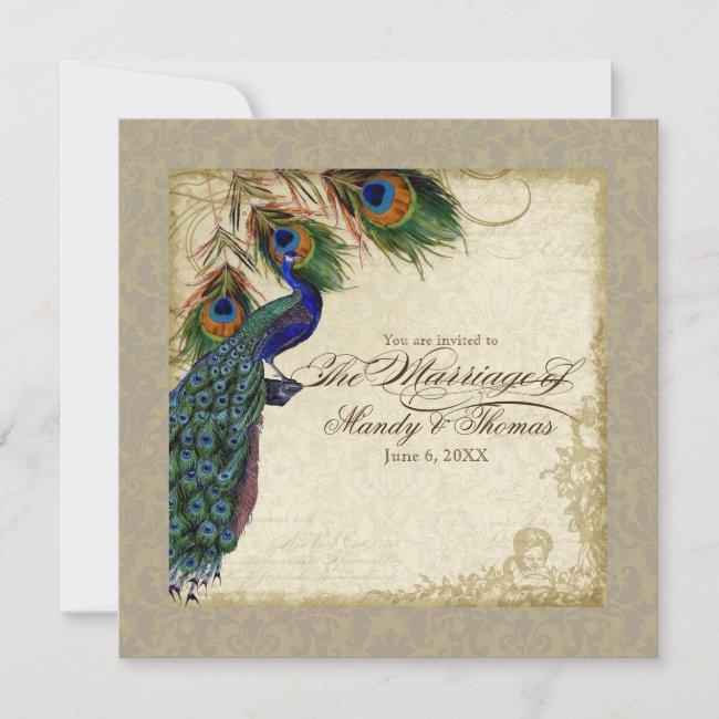 Peacock & Feathers Formal Wedding Invite Taupe Tan