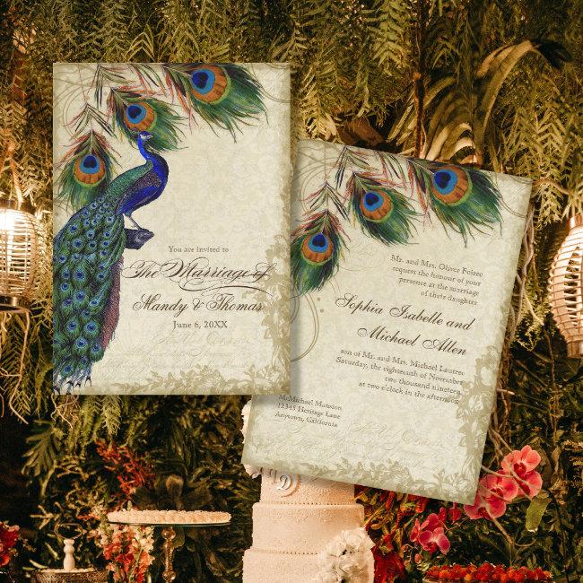 Peacock & Feathers Formal Wedding Tea Stained