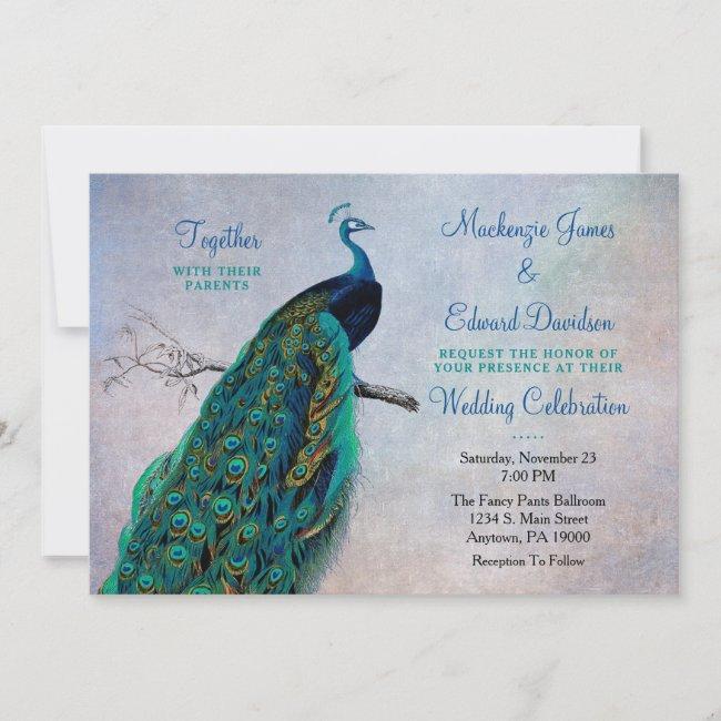 Peacock Wedding  Vintage Blue Elegant