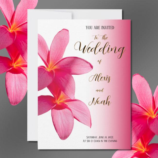 Pink Plumeria Flowers On Pink, Floral, Wedding