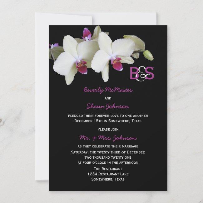 Post Wedding Reception , Orchids