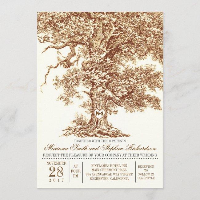 Romantic Old Oak Tree Rustic Wedding