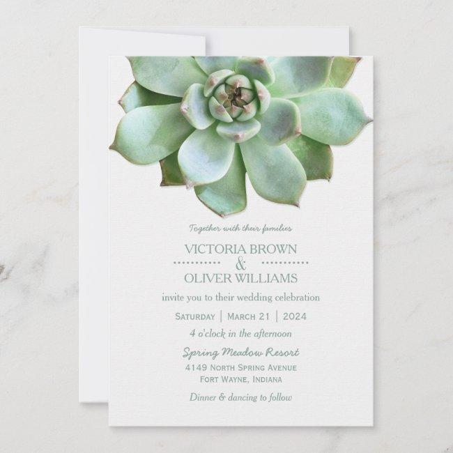 Spring Succulent Botanical Wedding