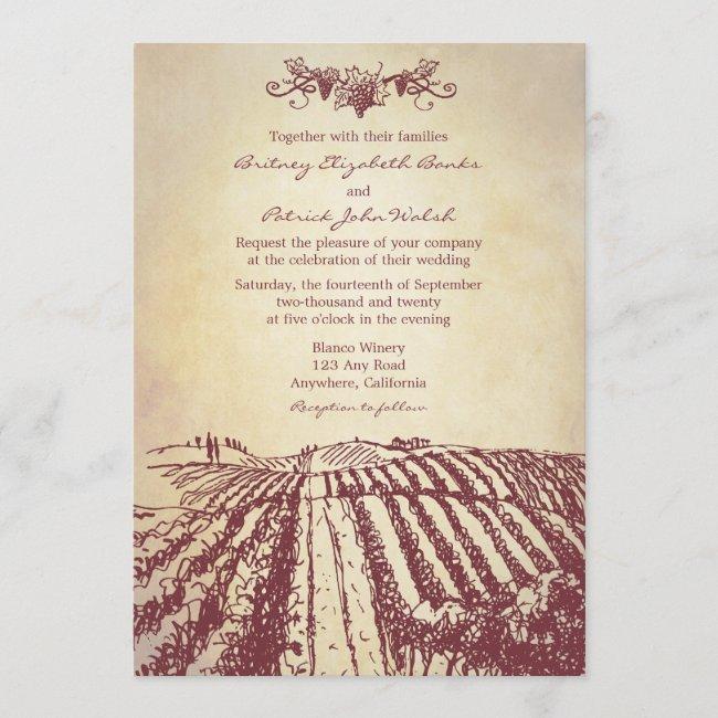 Tuscan Wine Winery Vineyard Wedding