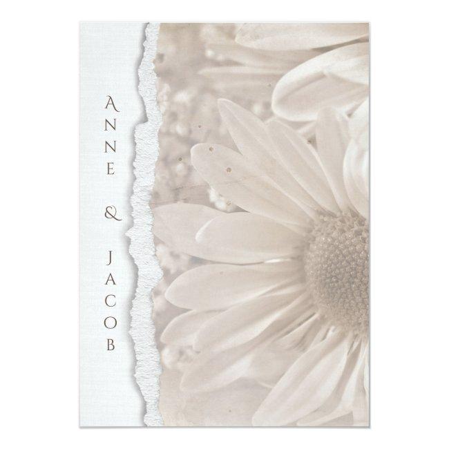 Wedding Daisy In Sepia With Torn Paper Edge