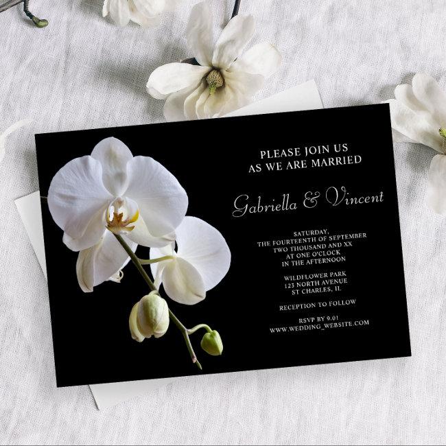 White Orchid Flowers On Black Wedding