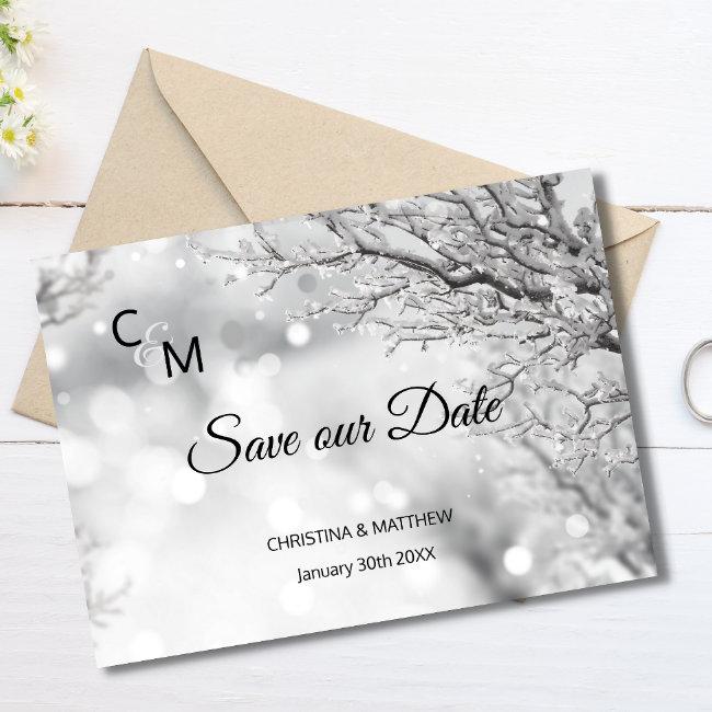 Winter Snow Snowflakes Wedding Save Our Date Announcement Post