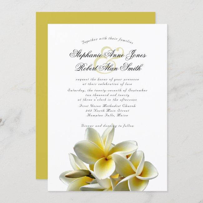 Yellow Plumeria Hawaiian Flower Wedding
